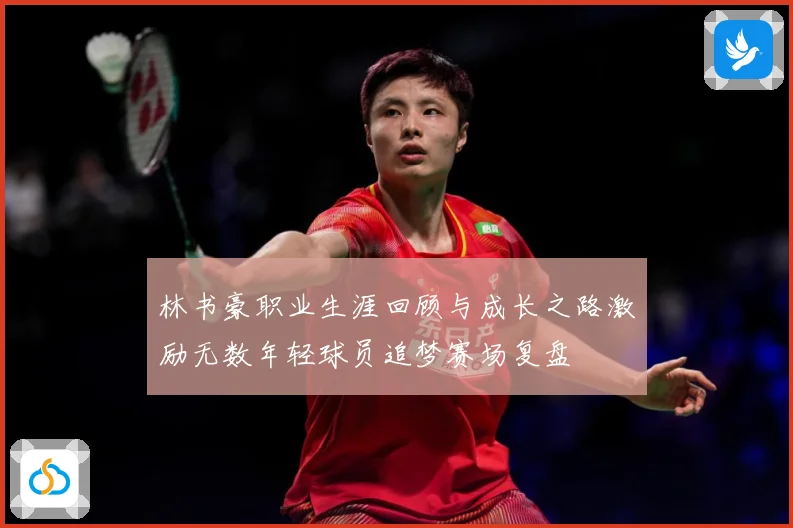 林书豪职业生涯回顾与成长之路激励无数年轻球员追梦赛场复盘