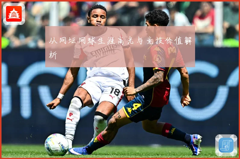 从网坛网球生涯高光与竞技价值解析